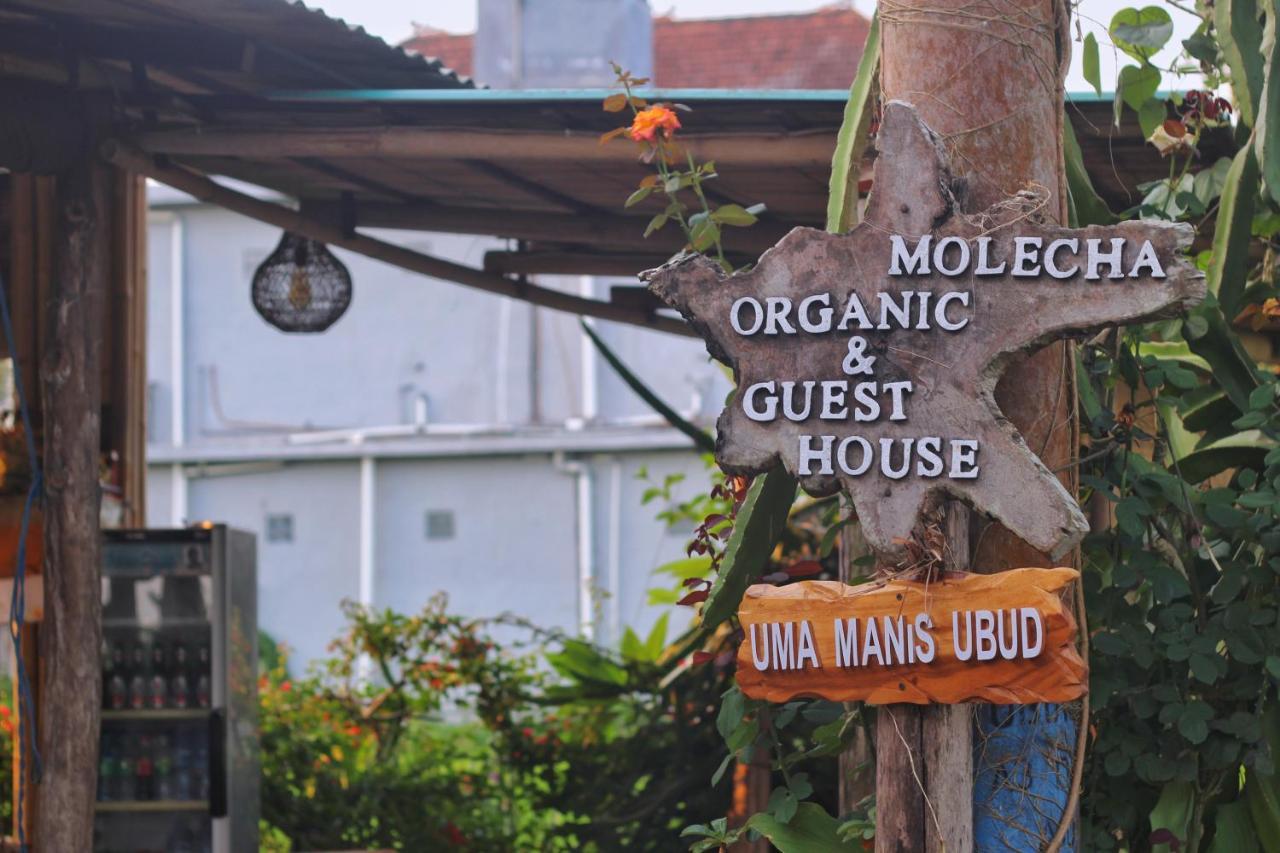 Uma Manis Ubud Exteriör bild